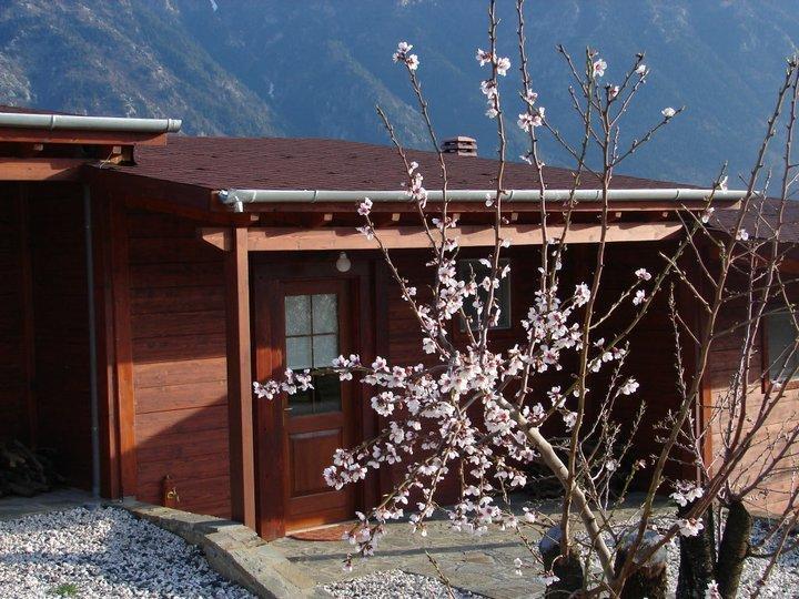 Villa Rustica Konitsa Dış mekan fotoğraf