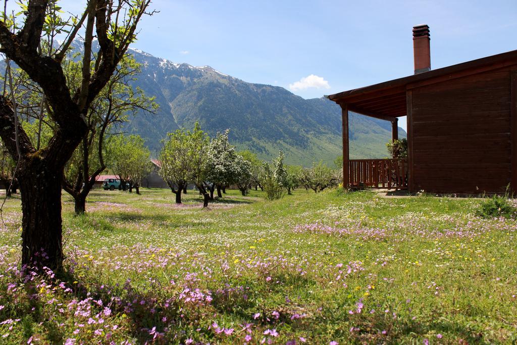 Villa Rustica Konitsa Dış mekan fotoğraf