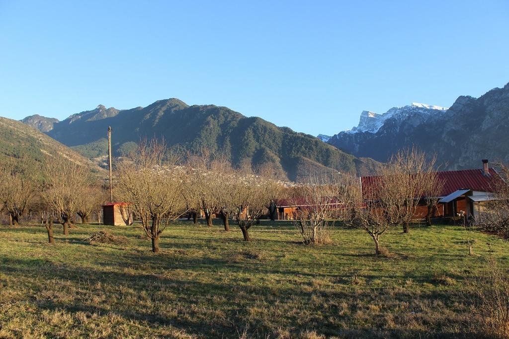 Villa Rustica Konitsa Dış mekan fotoğraf
