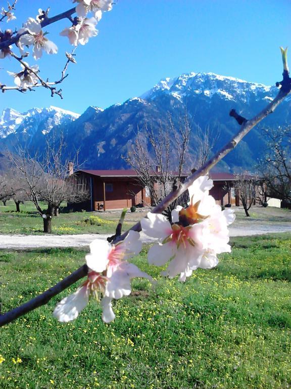 Villa Rustica Konitsa Oda fotoğraf
