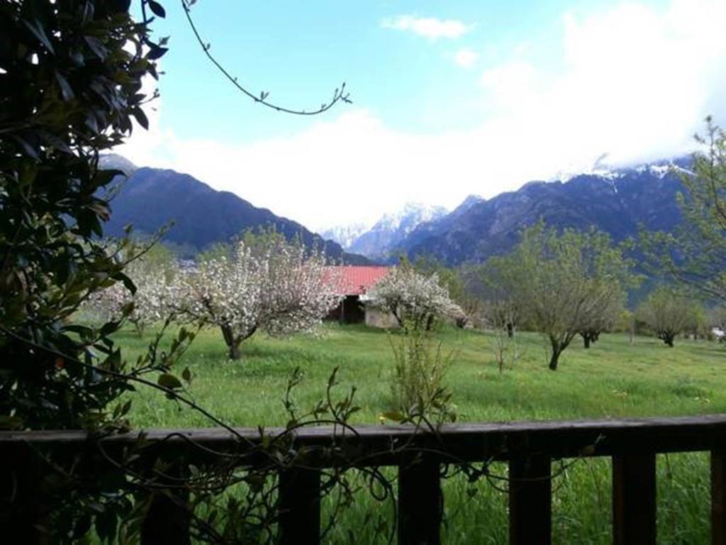 Villa Rustica Konitsa Dış mekan fotoğraf