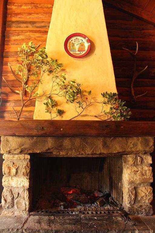 Villa Rustica Konitsa Dış mekan fotoğraf