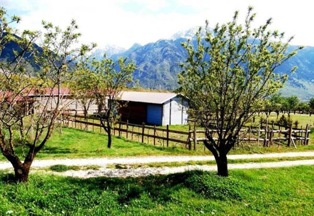 Villa Rustica Konitsa Dış mekan fotoğraf