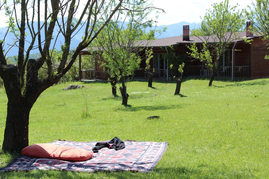 Villa Rustica Konitsa Dış mekan fotoğraf