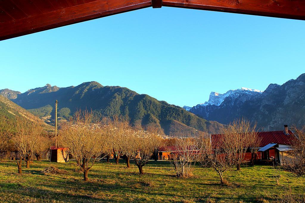 Villa Rustica Konitsa Dış mekan fotoğraf