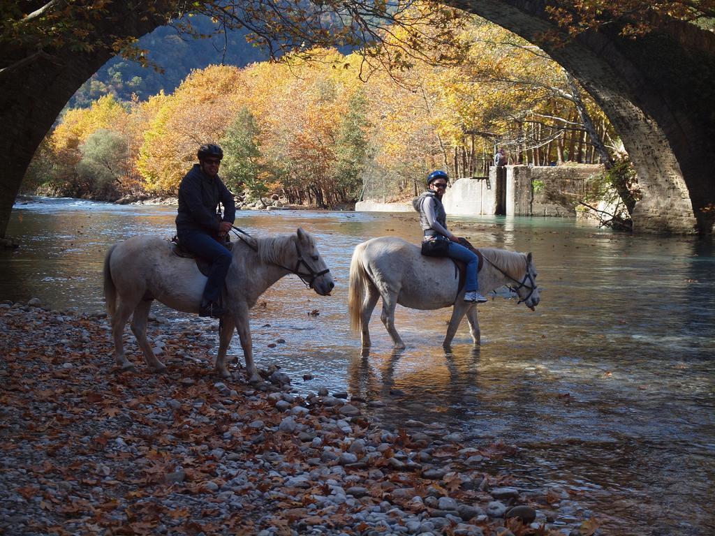 Villa Rustica Konitsa Dış mekan fotoğraf