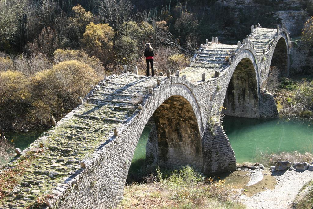 Villa Rustica Konitsa Dış mekan fotoğraf